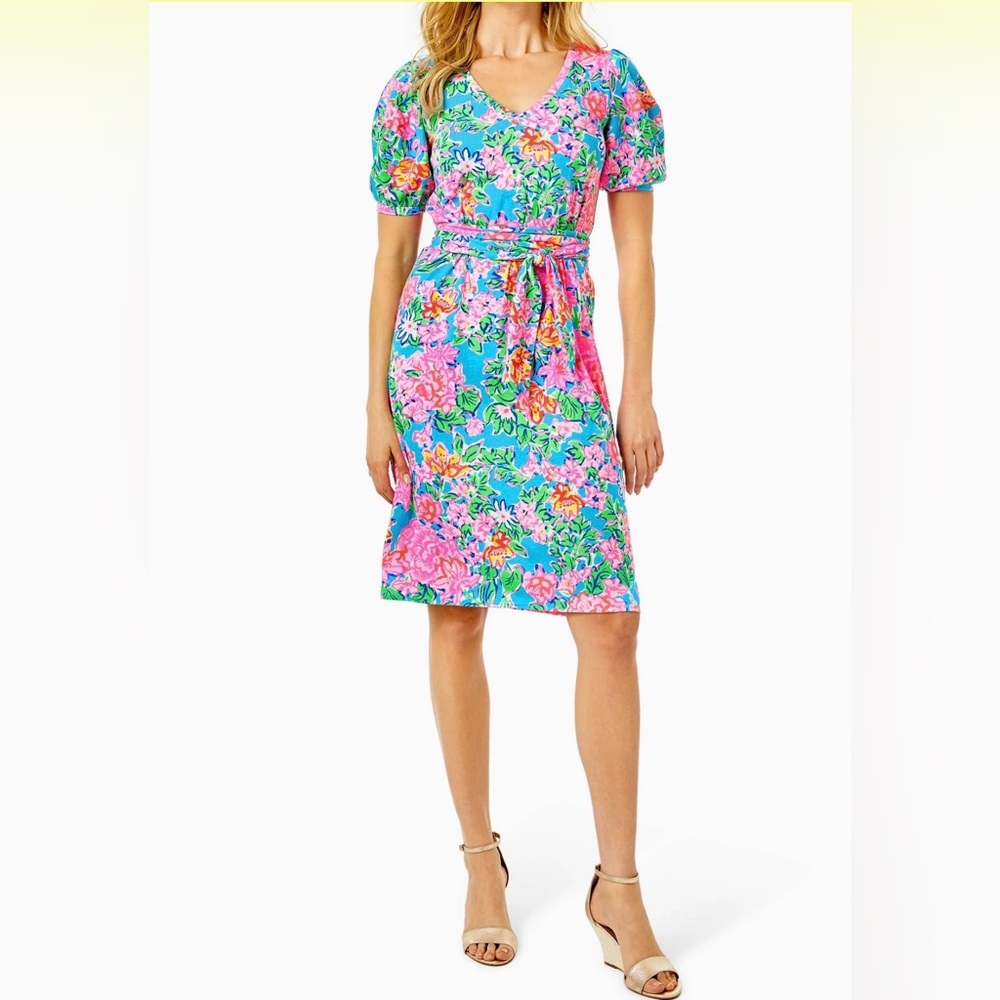 Lilly pulitzer women’s dress Size XXS